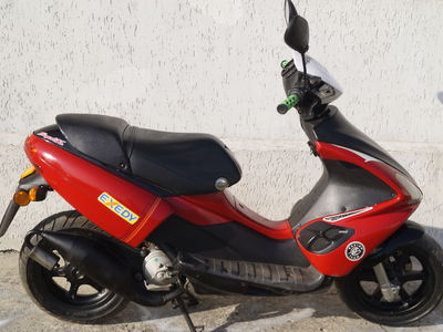 Benelli 491