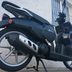 Benelli Pepe 50 LX