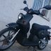 Benelli Pepe 50 LX