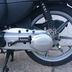 Benelli Pepe 50 LX