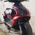 Benelli 491