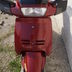 peugeot sv 125