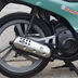 Honda Sh 50