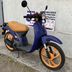 Honda Sky Sgx 50cc