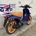 Honda Sky Sgx 50cc