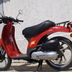 Honda Sky Sgx 50cc