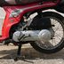 Honda scoopy sh-50