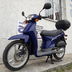 Honda Sh 50