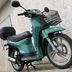 Honda Sh 50