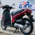 Honda Sh 50