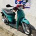 Honda Sh 50