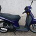 Honda Sh 50