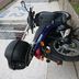 Honda Sh 50