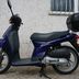 Honda Sh 50