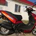 Suzuki zillion 50