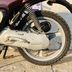 Yamaha why Flipper