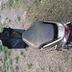 MBK Yamaha jog RR 
