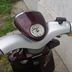 Yamaha Flipper 50