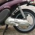 Yamaha Flipper 50